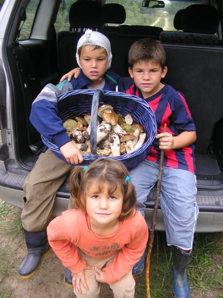 nous sommes allez   au cepes